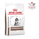 Royal Canin Gastrointestinal Junior Puppy Perro Cachorro 2kg