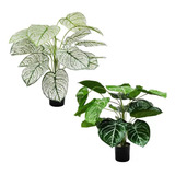 Pack De Planta Artificial Decorativa Caladium Verde-blanco 