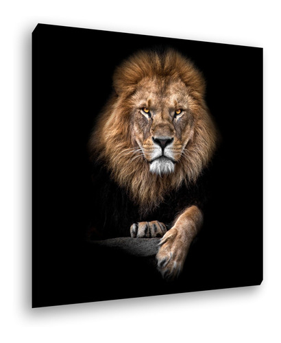 Tela Quadro Canvas Gigante Decorativo Leão Realista 100x100