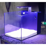 Acuario Con Filtro Backsump 50 Cm X 50 Cm X 50 Cm Cap. 125l