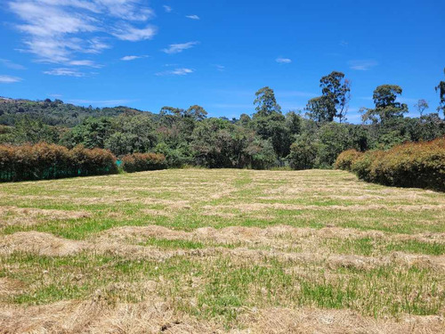 Venta De Lote En El Alto De Las Palmas Sector La Acuarela - Imagen 4