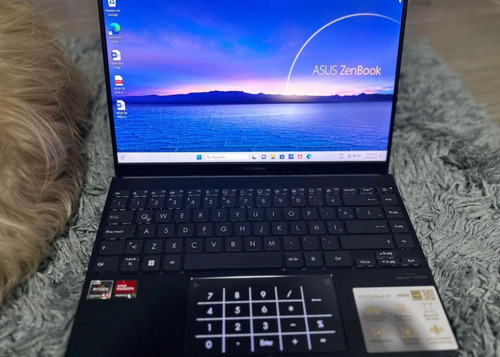 Asus Zenbook 14 Color Gris