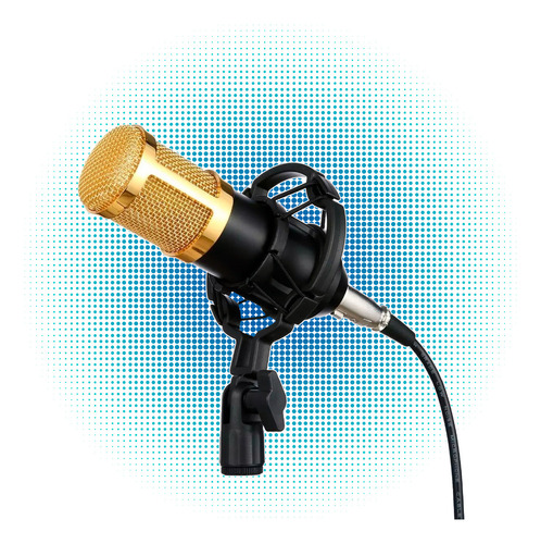 Microfone Andowl Bm-800 Condensador Cardioide Preto/dourado