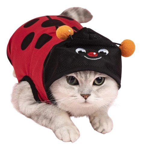 Disfraz Perros Gatos Halloween Mascota Mariquita Grande Ropa