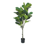 Planta Artificial Ficus Pandulata, Decoracion Palmera 150cm