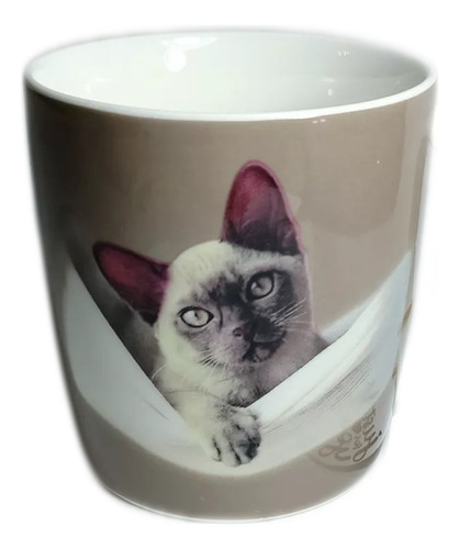 Tazón Mug Gato Importado Original 250 Cc 