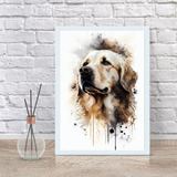 Quadro Decorativo Cão Golden Retriever Aquarela 33x24cm