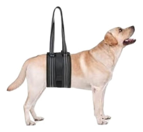 Arnes Faja Para Perro ,  Ideal P/ Displasia De Cadera