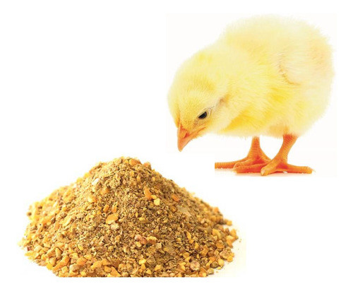 Alimento Pollitos Recién Nacido Pollos Pato Aves 5kg