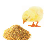 Alimento Pollitos Recién Nacido Pollos Pato Aves 5kg