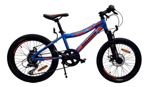 Bicicleta Raleigh Rowdy Mtb Rodado 20 7 Vel Frenos A Discos