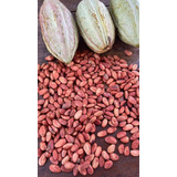 Cacao De Chiapas, Lavado Rojo.1 Kg.