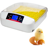 Incubadora Automatica Huevos 56  Volteador Pollos Encubadora