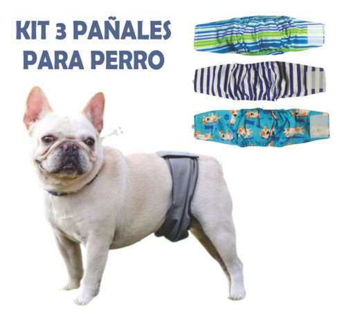3 Pañales Ecológicos Para Perros Kit.