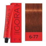 Tintura Igora Royal Tono 6.77 Schwarzkopf 60g