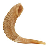 Shofar De Carnero Saa6 De 48 A 55 Cm Con Atril+manual De Uso