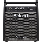 Monitor Personal Para V-drums 80w 1x10 PuLG Roland Pm-100