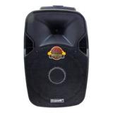 Monitor De Palco Ecopower Ep-s700 Portátil Com Bluetooth Waterproof Preto 110v/220v 