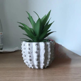 Vaso Cactus Árvore De Cimento Top Suculentas Plantas Maleoga