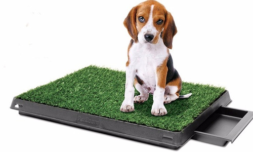 Alfombra Sanitaria De Pasto Para Perros Y Gatos *premium*