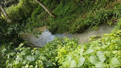 Por Ocación !!!!venta De 76 Hectareas, A Filo De Carretera!!!! - Imagen 4