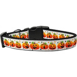 Mirage Pet Productos Calabaza Desfile Perro Collar, Grande