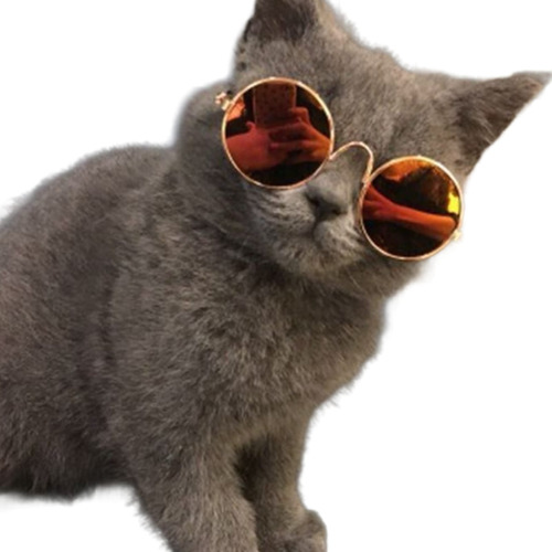 Lentes De Sol Para Mascota Gafas Pet Friendly Kawaii