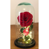 Rosa Eterna Premium ( Color ) Forever Bloom Luz Led