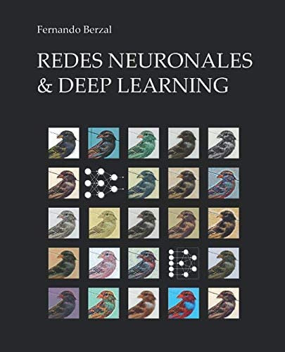 Libro: Redes Neuronales & Deep Learning: Edición En Color (s