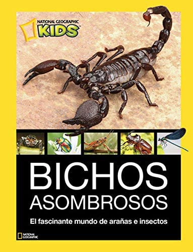 Bichos Asombrosos El Fascinante Mundo De Arañas E Insectos -