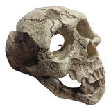 Adorno Calavera Cráneo 10,5x9x14cm Acuario Pecera