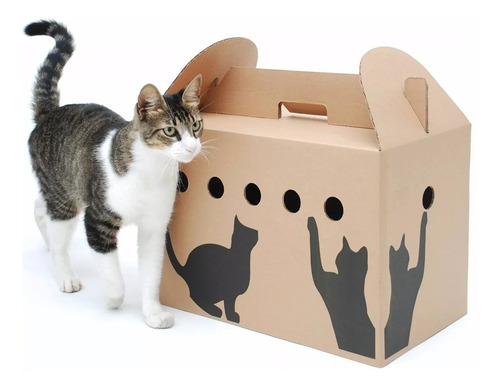 Caja Transportadora De Cartón Para Gatos