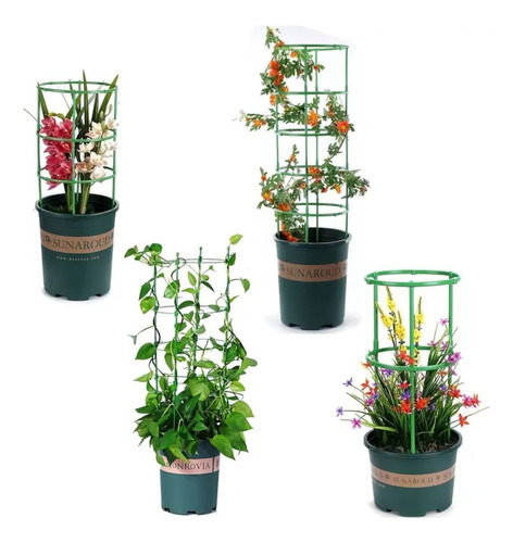 Soporte Plantas Enrredaderas Soporte Para Materas Trepadoras