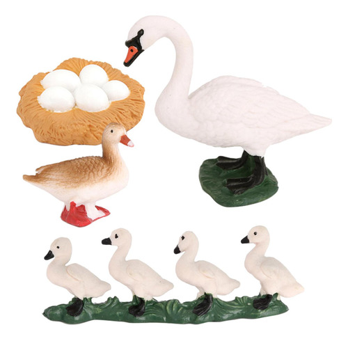 Ciclo De Vida De Animais De Insetos-swan, Cigarra, Salmão,