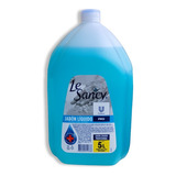 Jabón Antibacterial Le Sancy 5 Litros  99,99 De Protección