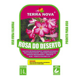 Kit 2 Substrato Terra Nova Rosa Do Deserto 14kg