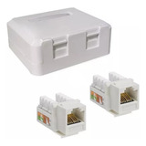 Roseta Doble Rj45 Con Jack Cat6 Red Utp Pared Prosoft