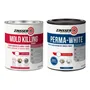 Combo Antihongo 1l Mold Killing + 1l Perma White Eggshell | Envío gratis