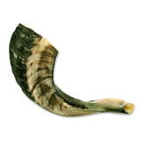 Shofar Tradicional De Israel, Instrumento Musical Natural Ju