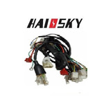 Ramal Eléctrico Moto Cgl 125 Marca Haiosky