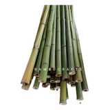 40 Varas De Bambú Natural Verde Cerca 150 Cm / 2-3 Cm Grosor