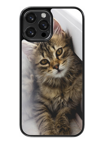 Funda Diseño Para Samsung Gatos Majestuosos  #9