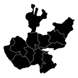 Vinil Mapa Jalisco Vinilo