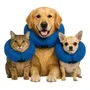 Collar Isabelino Perros Gatos Inflable De Tela Acolchado L | Envío gratis