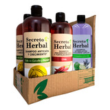 Caja 6pz Surtida Shampoo Secreto Herbal Romero Chile Sábila