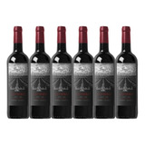 Vinho Argentino Combo Malbec Syrah  750 Ml - Kit Com 6 Un