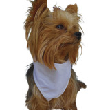 Kit 100 Bandanas Pet Personalizadas Sua Logo (30p,40m,30g)