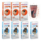 Bravecto Anti Pulga Carrapato Combo 3 - 4,5a10 + 4 - 20a40kg