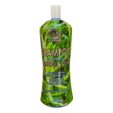 Shampoo Anticaida De Romero Y Quina 1000m - L a $32