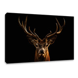 Cuadro Decorativo Canvas Venado Cuernos 120 X 80 Cm